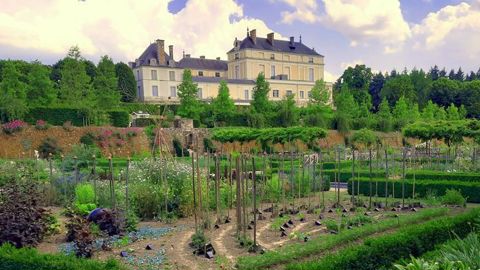 Fin août, le distributeur de semences et plants A. Ducrettet ouvrira les portes du château Colbert à Maulévrier (49) pour découvrir ses essais de potagères horticoles Les Toqués®  et sa gamme de fleurs pour la saison 2022. ©A. Ducrettet